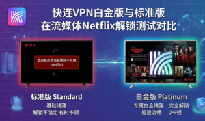 快连VPN用户评价